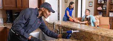 Real Estate Pest Inspections in Akron, PA